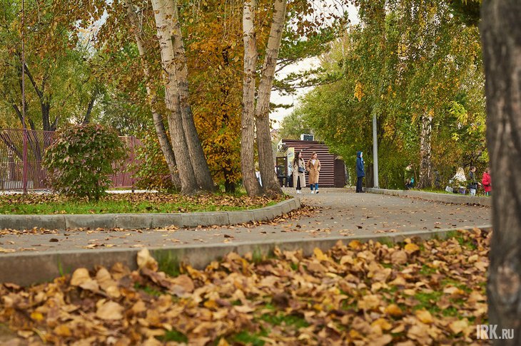 Осень в Иркутске. Фото Маргариты Романовой, IRK.ru