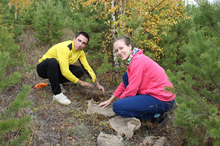 Добровольцы высаживают сосны. Фото пресс-службы благотворительного фонда «Подари планете жизнь»