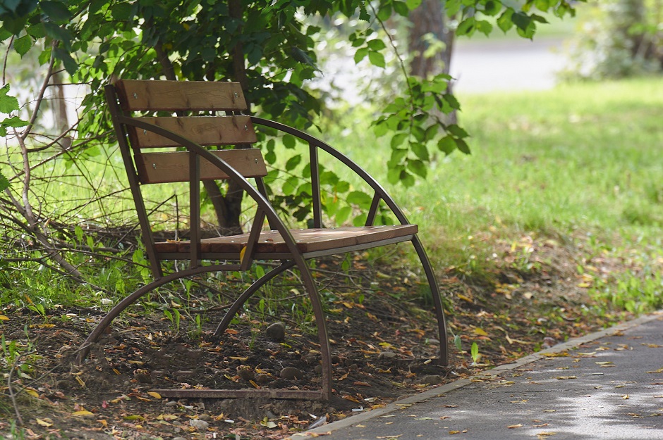 Здесь установили лавочки, подрезали деревья.