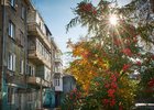 Осень в Иркутске. Фото Маргариты Романовой, IRK.ru