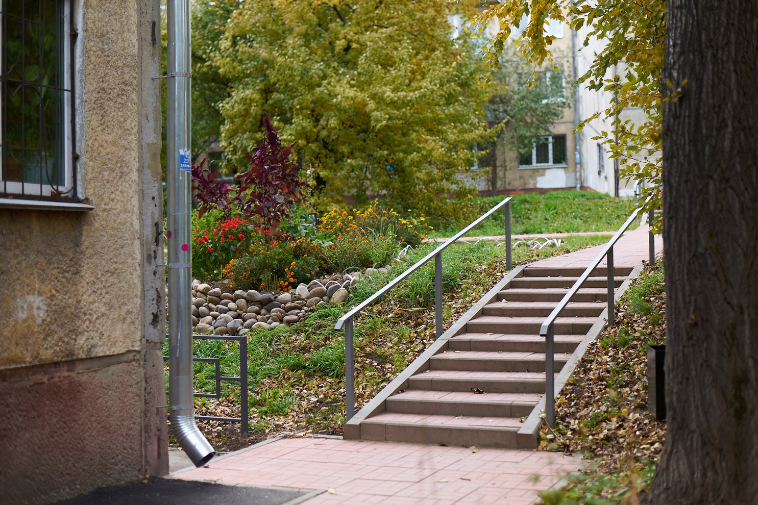 Свердловский округ. Двор по адресу: ул. Лермонтова, 261 Б