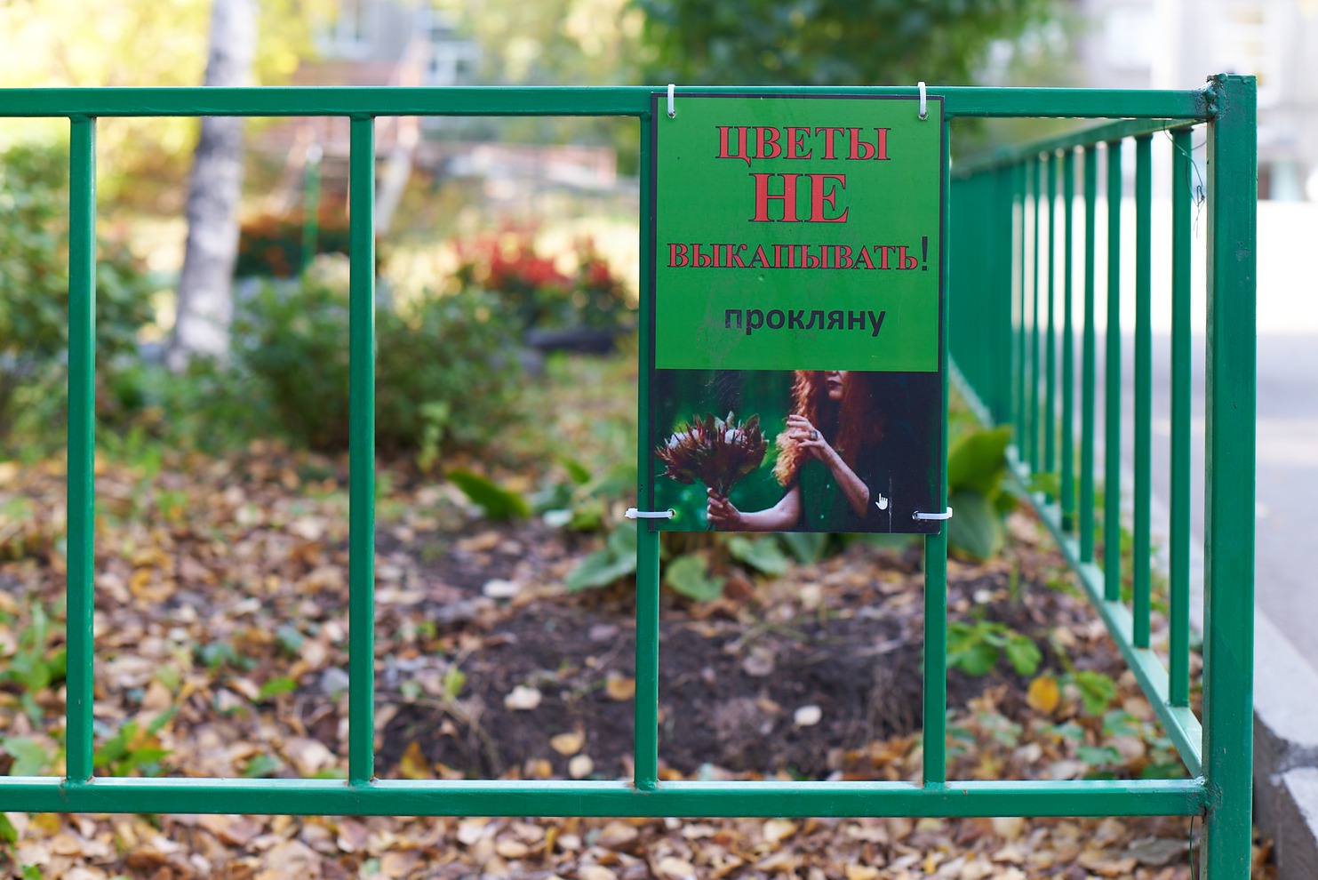 Октябрьский округ. Двор по адресу: ул. Трилиссера, 85