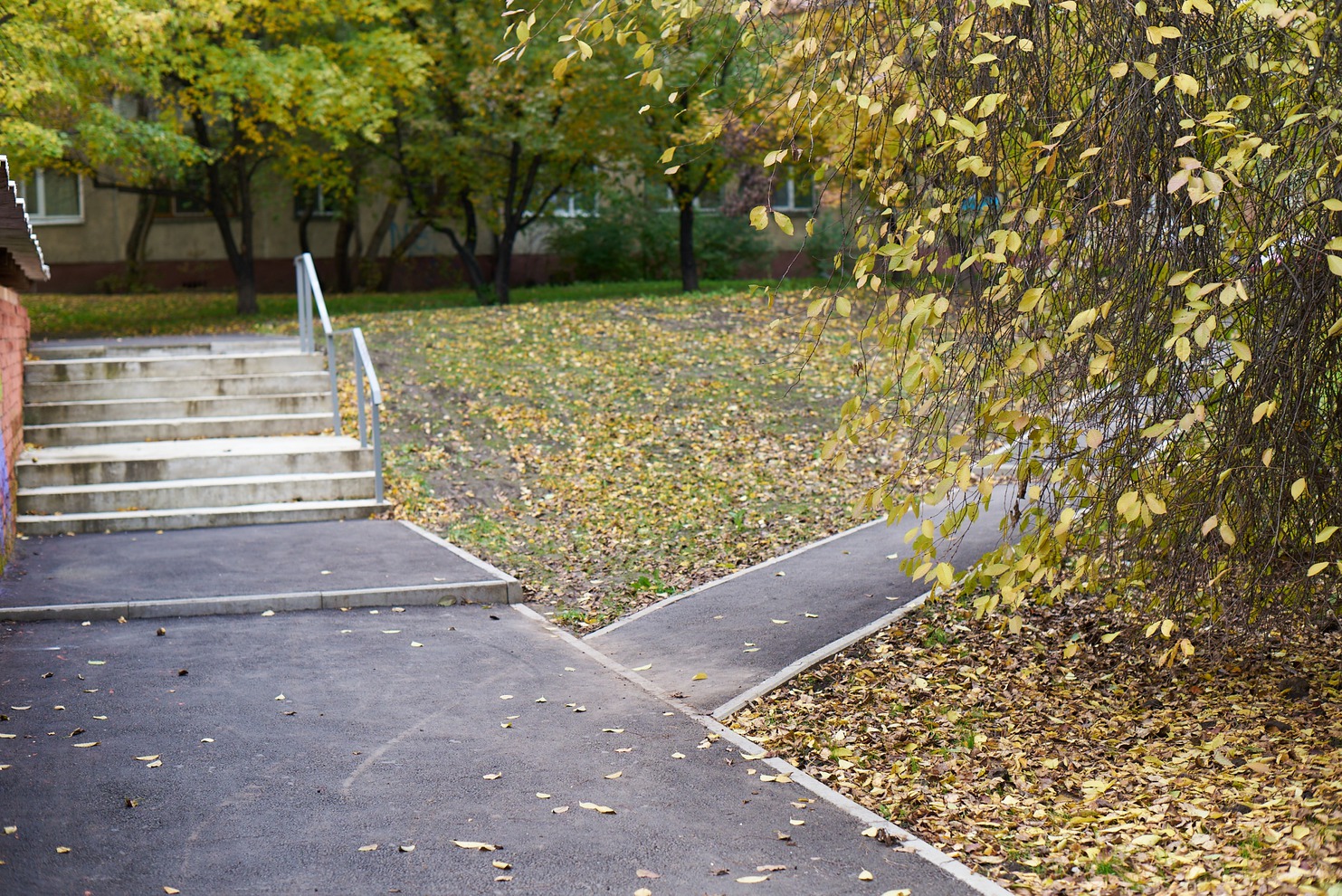 Свердловский округ. Двор по адресу: ул. Лермонтова, 261 Б