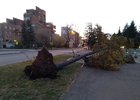 Набережная, Иркутск, 07:00. Фото Полины Юшиной.
