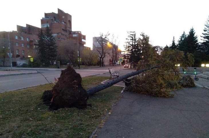 Набережная, Иркутск, 07:00. Фото Полины Юшиной.