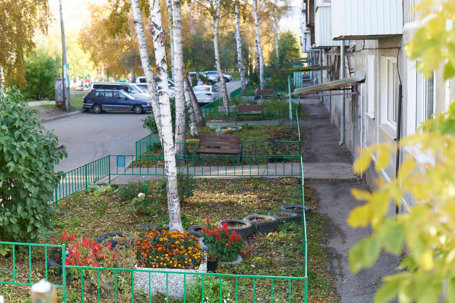 Октябрьский округ. Двор по адресу: ул. Трилиссера, 85