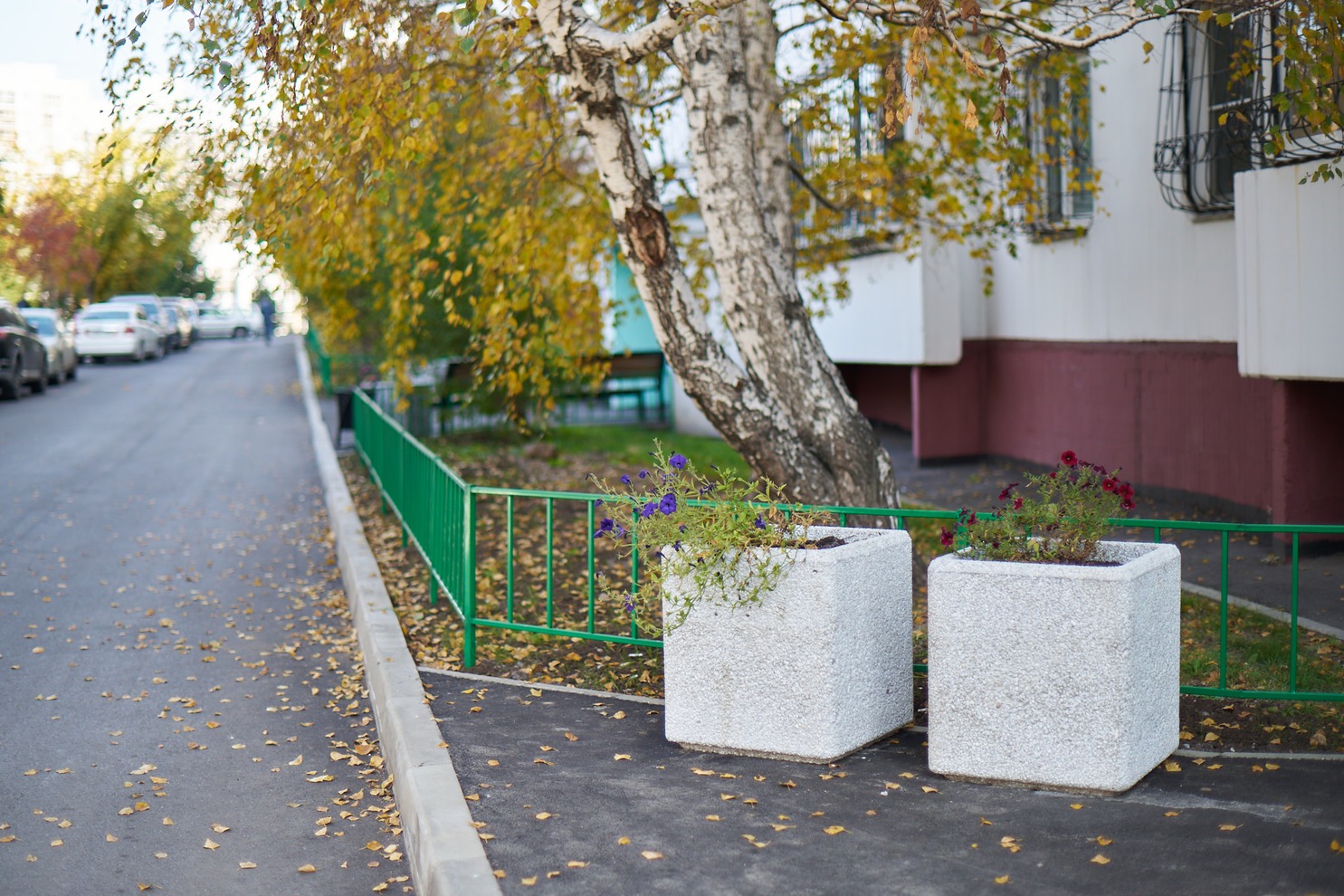 Октябрьский округ. Микрорайон Солнечный, проспект Маршала Жукова, 68