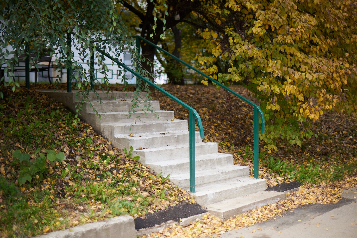 Свердловский округ. Двор по адресу: ул. Лермонтова, 289