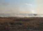 Возгорание сухой растительности в Братске. Скриншот видео пресс-службы ГУ МЧС России по Иркутской области