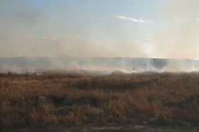 Возгорание сухой растительности в Братске. Скриншот видео пресс-службы ГУ МЧС России по Иркутской области