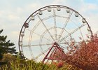 Колесо обозрения. Фото Маргариты Романовой, IRK.ru