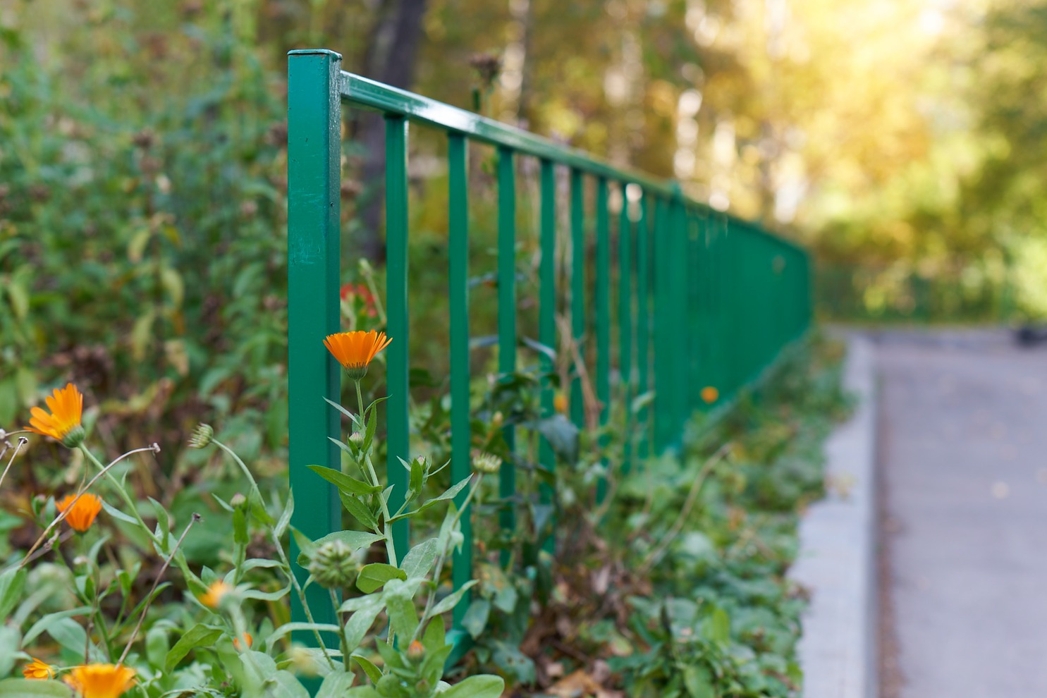 Октябрьский округ. Двор по адресу: ул. Трилиссера, 85