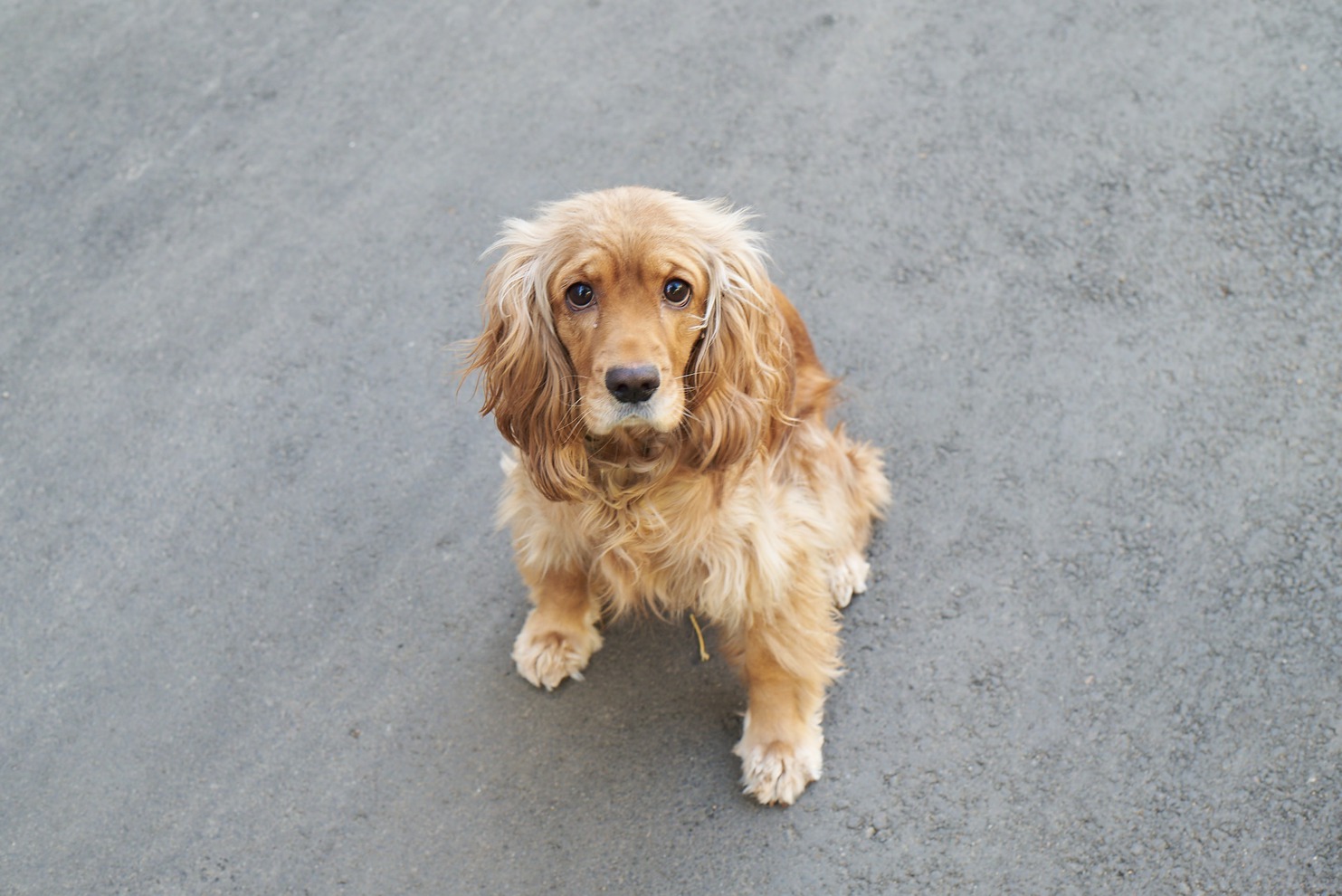 Ленинский округ. Двор по адресу: ул. Пржевальского, 32
