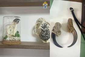 Фото пресс-службы СУ СКР по Иркутской области