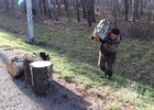 Участники акции очищают лес от мусора и валежника. Фото пресс-службы правительства Иркутской области