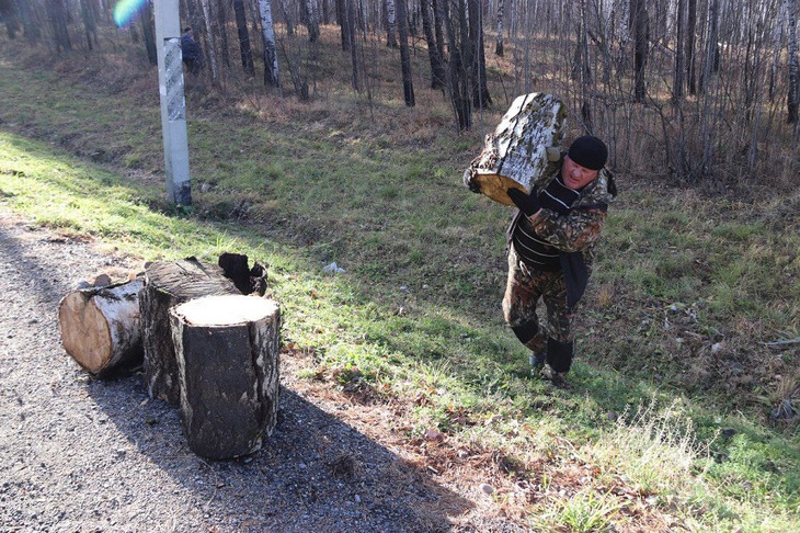 Участники акции очищают лес от мусора и валежника. Фото пресс-службы правительства Иркутской области