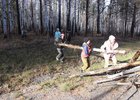 Участники акции очищают лес от мусора и валежника. Фото пресс-службы правительства Иркутской области