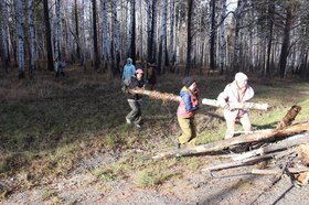 Участники акции очищают лес от мусора и валежника. Фото пресс-службы правительства Иркутской области