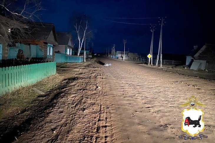 Место ДТП в Жигаловском районе. Фото пресс-службы ГУ МВД России по Иркутской области