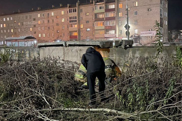 Спасение щенка. Фото пресс-службы ГУ МЧС России по Иркутской области