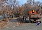 Обрезка деревьев в Иркутске. Фото пресс-службы администрации города