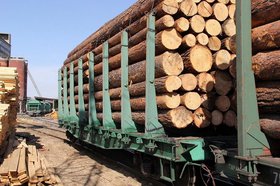Древесина. Фото пресс-службы ГУ МВД России по Иркутской области