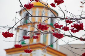 Ноябрь в Иркутске. Фото IRK.ru