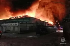 Скриншот видео МЧС России