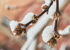 Фото Маргариты Романовой, IRK.ru