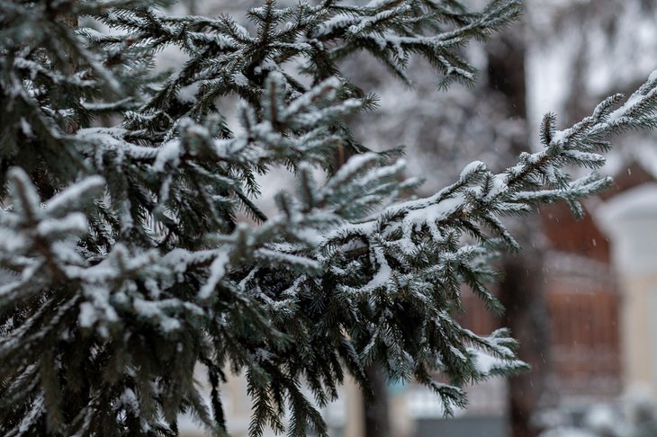 Фото из архива IRK.ru