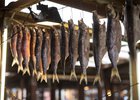 Омуль. Фото из архива IRK.ru