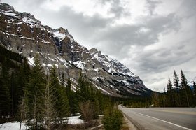 Фото с сайта Freepik.com, автор неизвестен