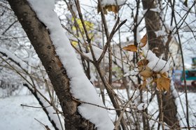 Иркутск зимой. Фото IRK.ru