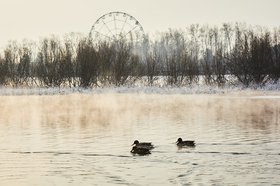Иркутск. Фото Маргариты Романовой, IRK.ru