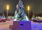 Фото пресс-службы правительства Иркутской области