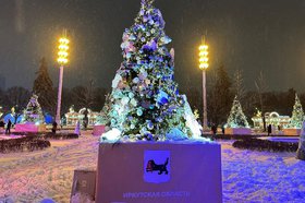 Фото пресс-службы правительства Иркутской области
