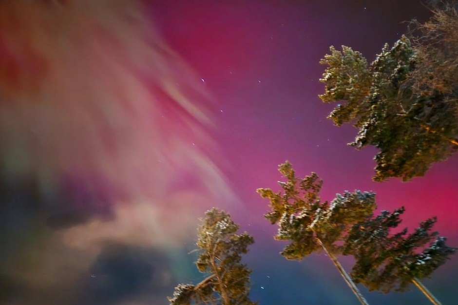 Фото Ольги Юрьевой, фото из телеграм-канала Игоря Кобзева