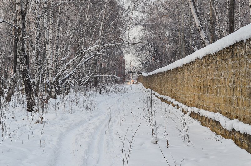 На территории современного Лисихинского кладбища. Автор фото — Илья Татарников