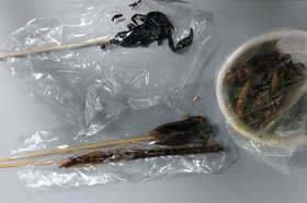 Изъятая экзотическая продукция. Фото пресс-службы Иркутской таможни
