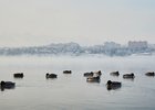 Фото Маргариты Романовой, IRK.ru