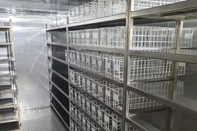 Морозильная камера. Фото пресс-службы правительства Иркутской области