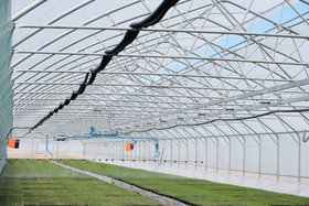 Фото «Русского леса»