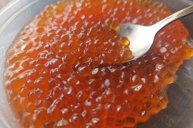 Икра. Фото IRK.ru