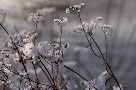 Зима. Фото из архива IRK.ru