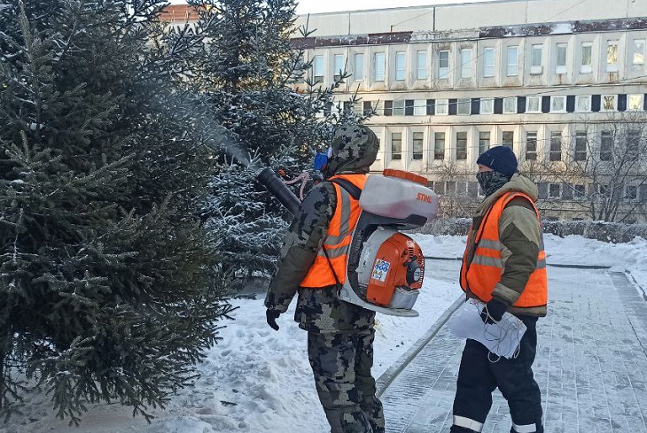 Обработка деревьев. Фото с сайта администрации Иркутска