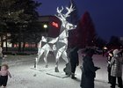 Фото Ольги Агаларовой