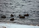 Фото из архива IRK.ru