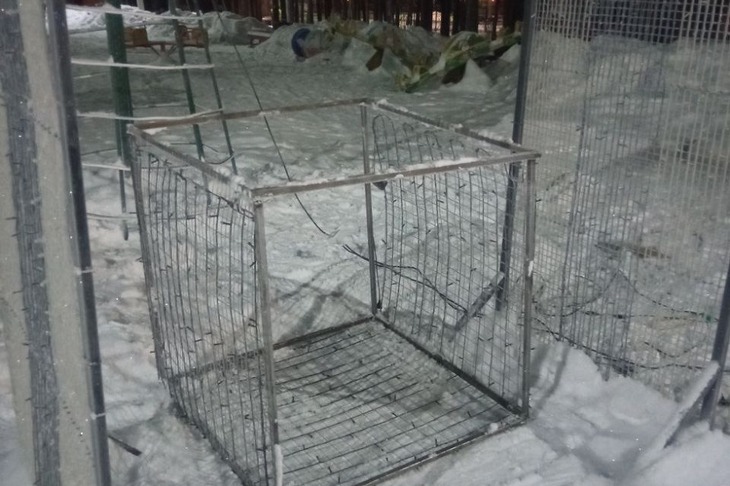 Фото администрации Тулуна