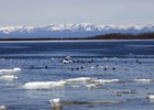 Байкал. Фото с сайта правительства Иркутской области