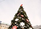 Фото IRK.ru